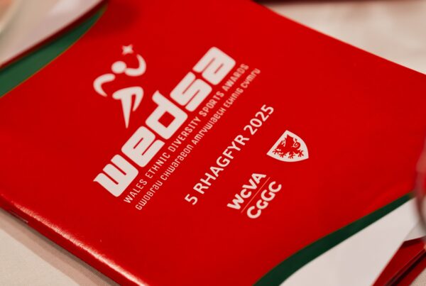 WEDSA Brochure